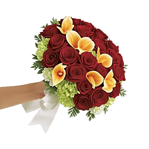 Crimson Rose Elegance