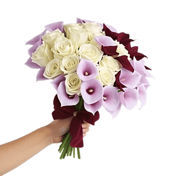 Elegant Calla Lilies