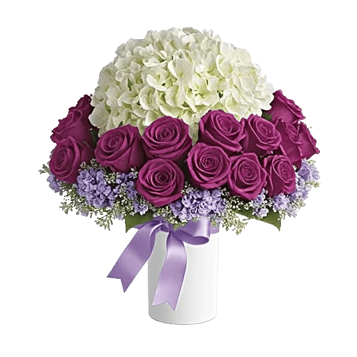 Ivory Blossom Radiance