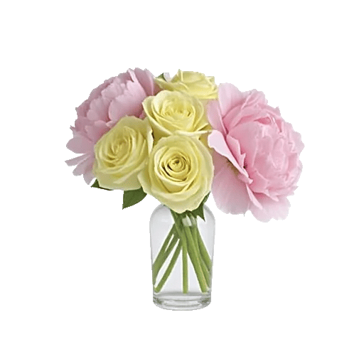 Petal Radiance Bliss