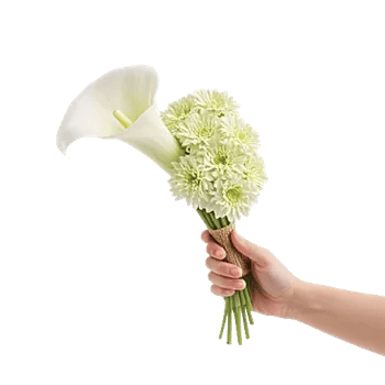 Elegant Calla Lilies