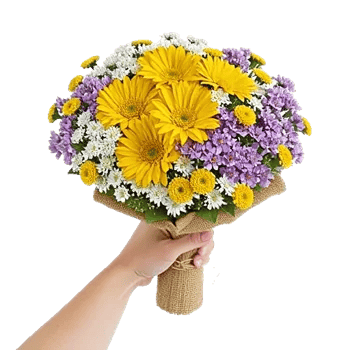 Blossom Harmony Display