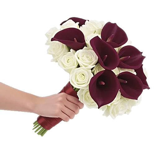 Elegant Calla Lilies