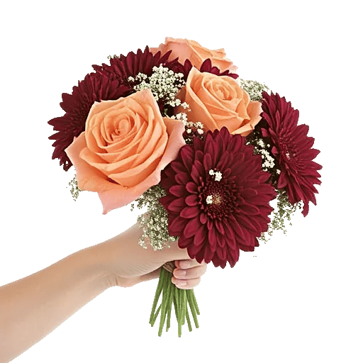 Blushing Rose Symphony