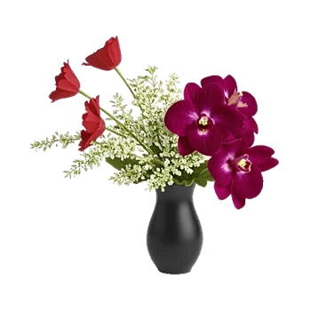 Petal Grace Harmony