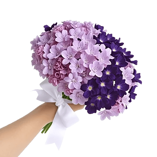 Lavender Bloom Grace