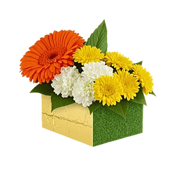 Vibrant Orange Delight