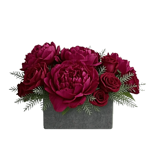 Petal Radiance Bliss