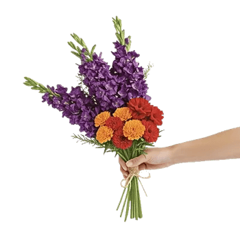 Rosemary Bloom Elegance