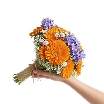 Vibrant Orange Delight