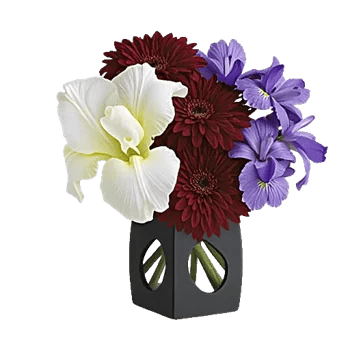 Ivory Blossom Radiance