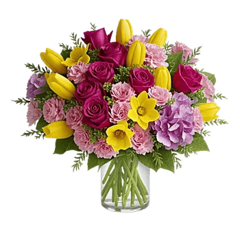 Velvet Tulip Display