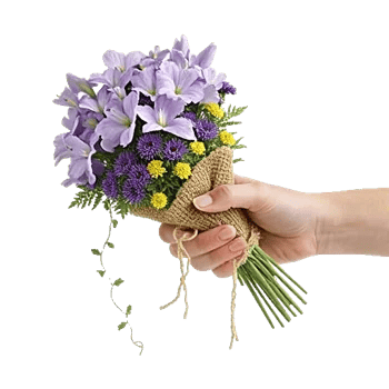 Lavender Bloom Grace