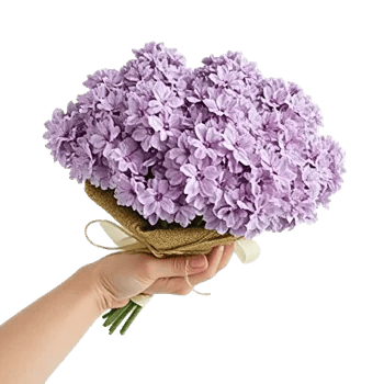 Lavender Bloom Grace