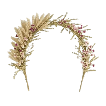 Modern White Orchids