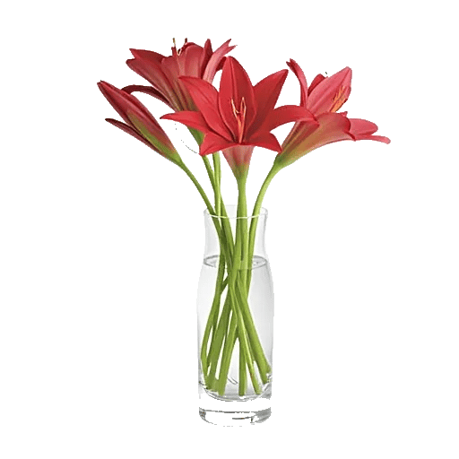 Crimson Lily Glow