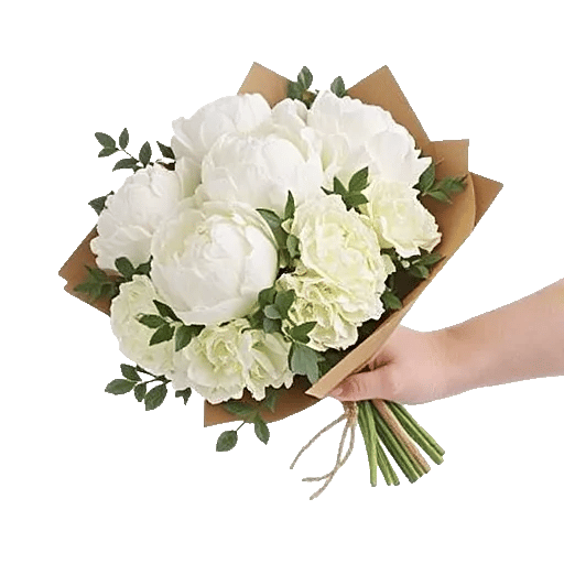 Peony Petal Harmony