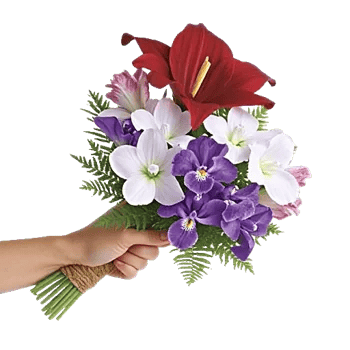 Modern White Orchids