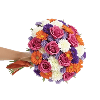 Blushing Rose Symphony