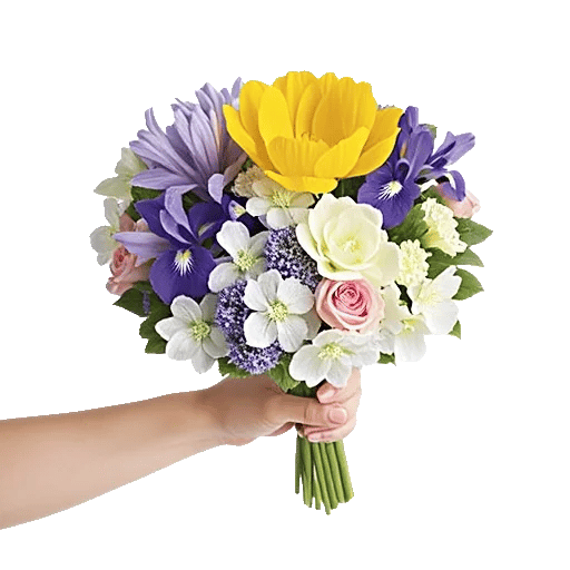 Blossom Harmony Display