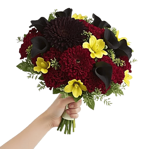 Elegant Calla Lilies