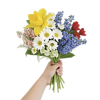 Blossom Harmony Display