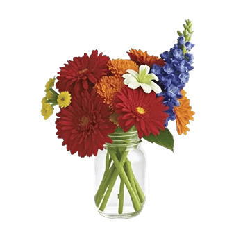 Petal Radiance Bliss