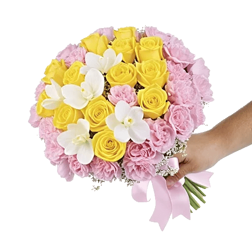 Blossom Harmony Display