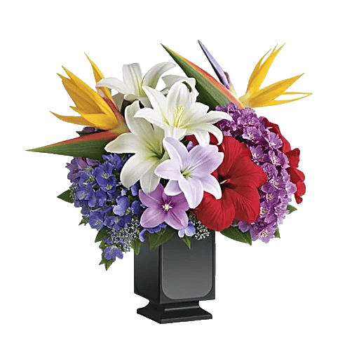 Modern White Orchids