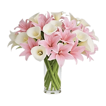 Elegant Calla Lilies