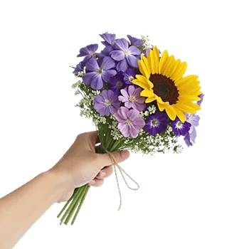 Twinkling Sunflower Dance