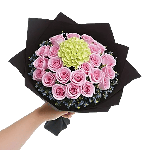 Serene Petal Harmony