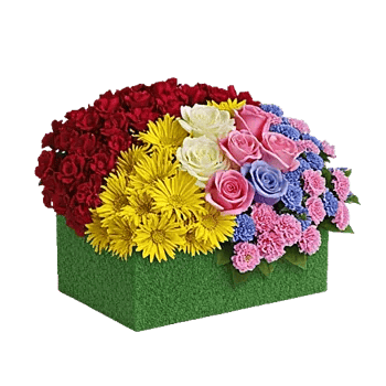 Delicate Petal Cascade