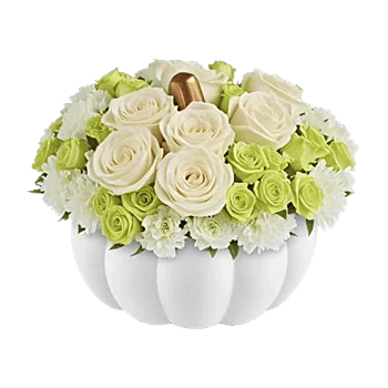 Minimalist White Orchids