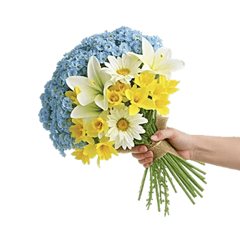 Blossom Petal Serenity