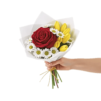 Crimson Rose Elegance