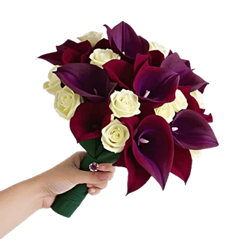 Elegant Calla Lilies