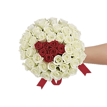 Crimson Rose Elegance