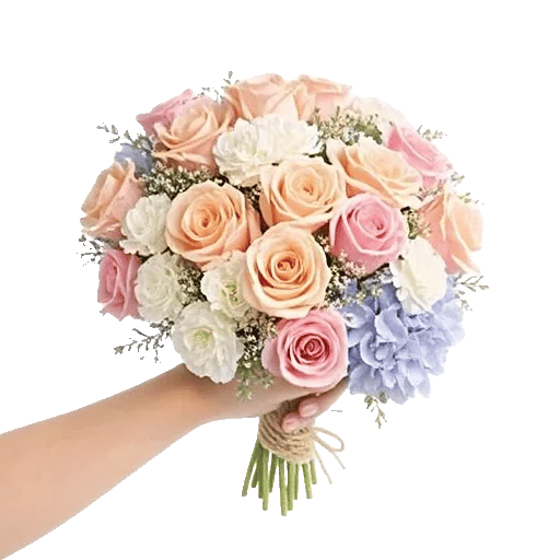 Pastel Pink Roses