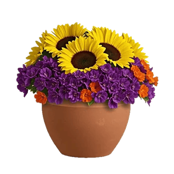 Amber Sunflower Glow