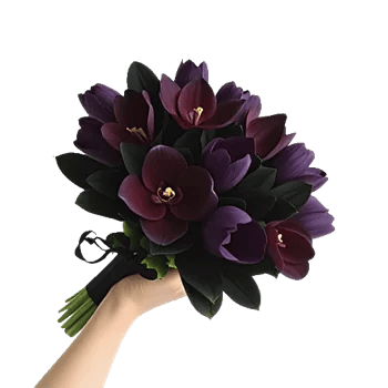 Modern White Orchids