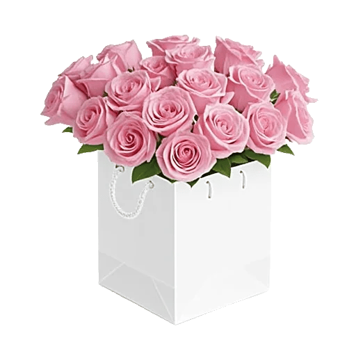 Pastel Pink Roses
