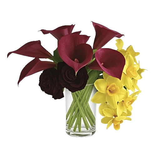 Elegant Calla Lilies