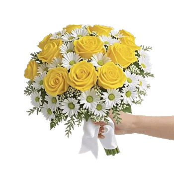 Blossom Harmony Display