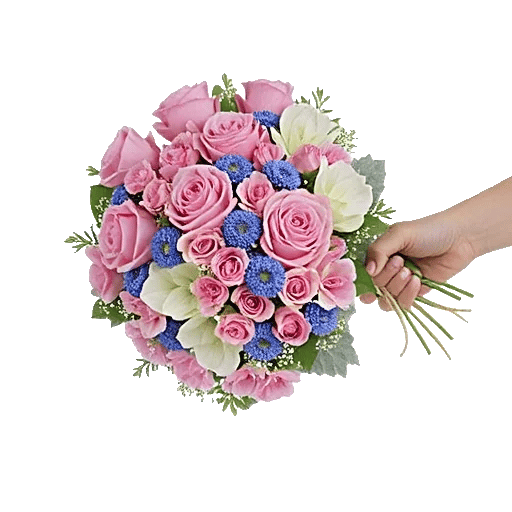 Pastel Pink Roses