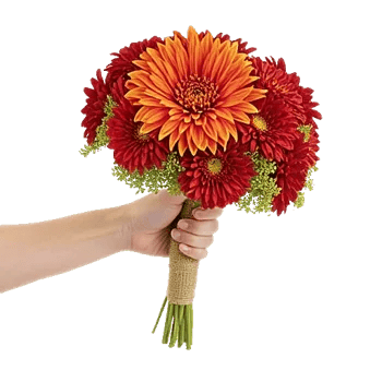 Radiant Bloom Cascade