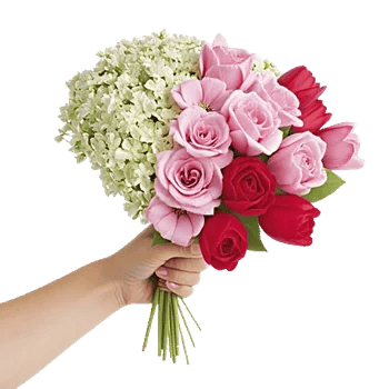 Elegant Calla Lilies