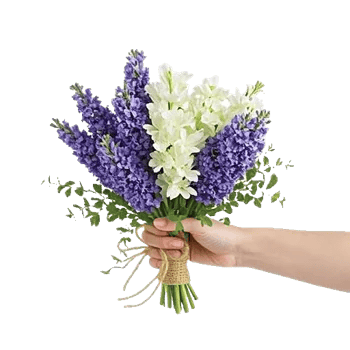 Lavender Bloom Grace