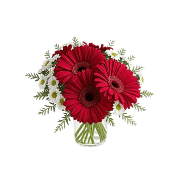 Tulip Rose Mix