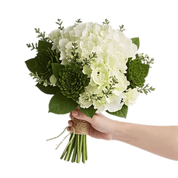 Ivory Blossom Radiance